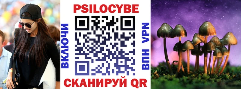 купить  сайты  Гороховец  Псилоцибиновые грибы Magic Shrooms 